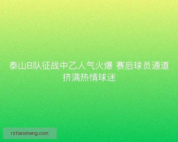 泰山B队征战中乙人气火爆 赛后球员通道挤满热情球迷